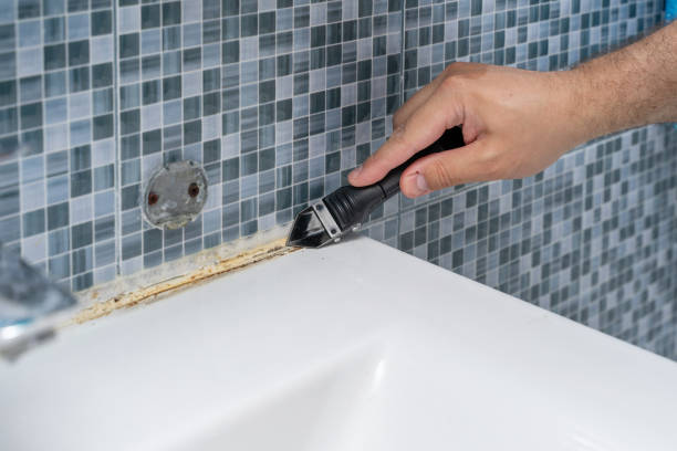 Mold Removal Process in Chestertown, MD